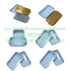 حاوية المواد الغذائية