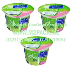 الرقائق المجسمة