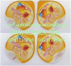 الغطاء المجسم