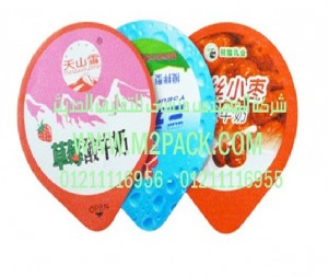 رقاقة الغطاء المجسم